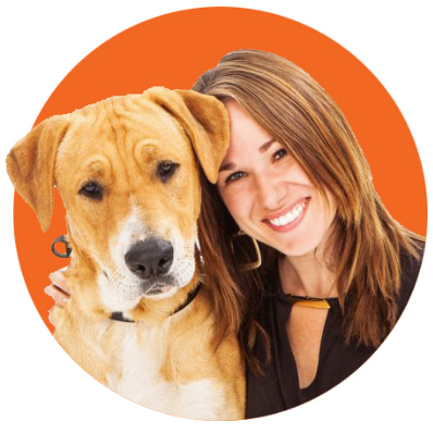 Leanna Taylor Saving people and pets – Leanna Taylor image